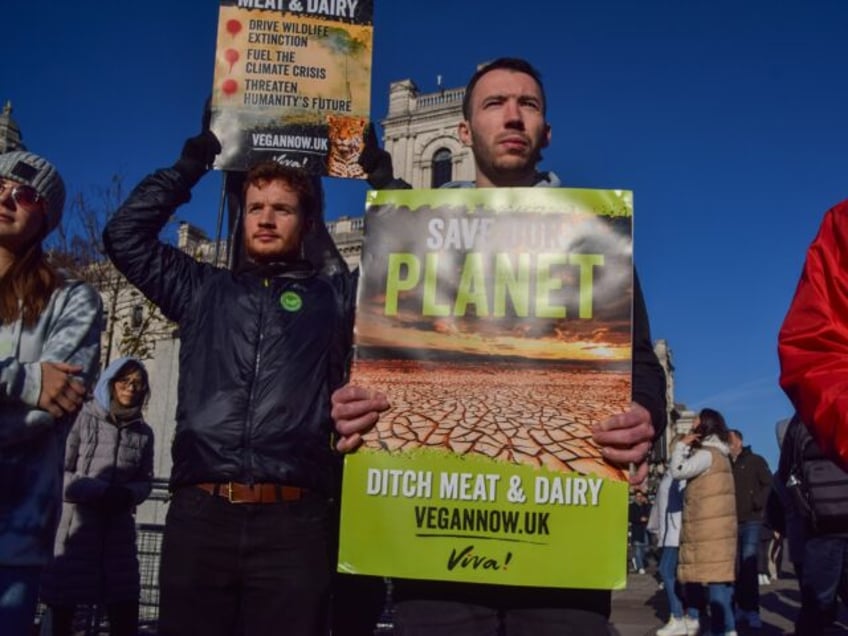 LONDON, UNITED KINGDOM - 2023/11/25: A protester holds a placard encouraging people to sto