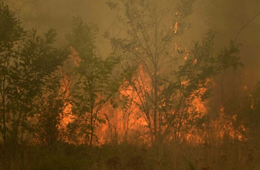 greece firefighters rescue 25 migrants trapped in forest as massive wildfire approached