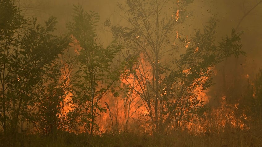 greece sends 100 more firefighters to countrys northeast as blaze flares up in 13th day