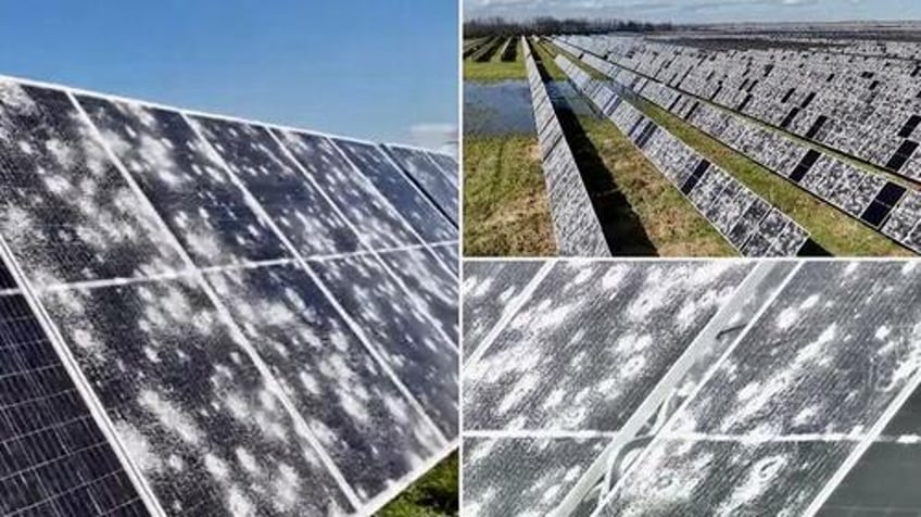 green energy beaten black and blue video shows massive hail damage to texas solar farm