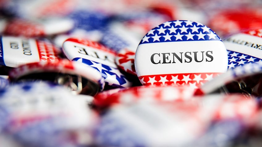 Closeup of button with text that says Census