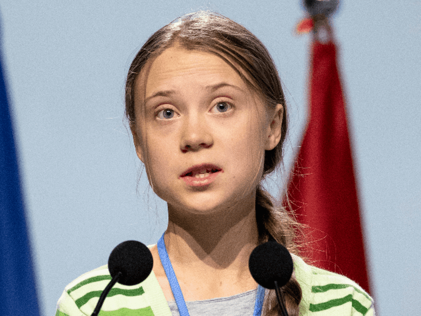 greta thunberg calls for israel hamas ceasefire begins strike in solidarity with palestine and gaza