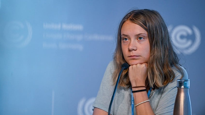 greta thunberg posts then deletes free palestine post after pushback i was completely unaware