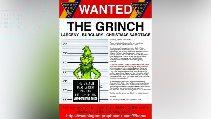 Grinch ruins Christmas light show