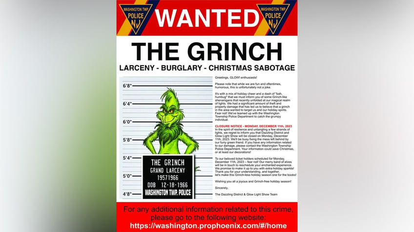 Grinch ruins Christmas light show