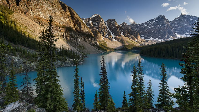 grizzly bear attack in banff national park leaves couple dog dead