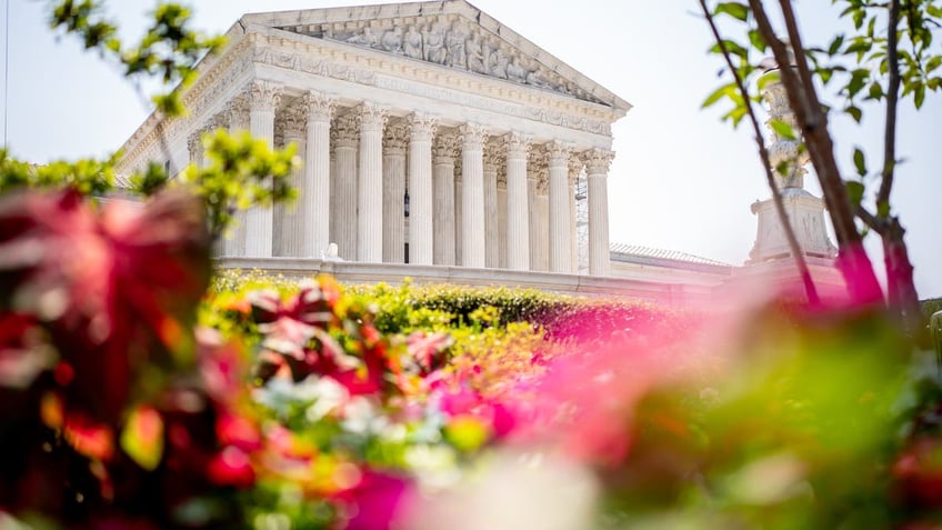 supreme court in background, flowers foreground