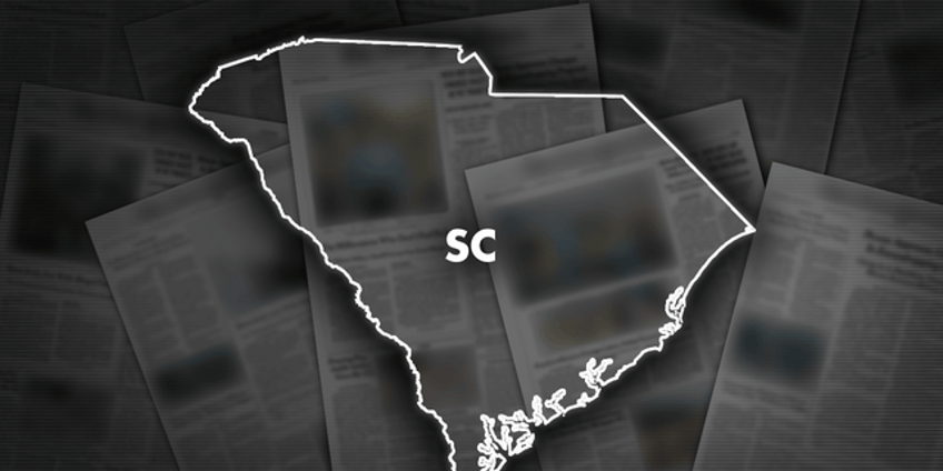 gunfire strikes residences nearly 100 times this year in south carolina county