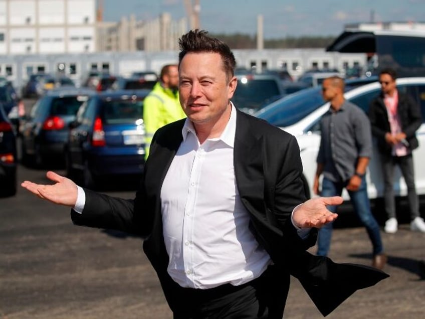 Elon Musk doesn't understand crazy leftists