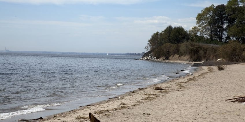 half eaten fish reeled in by connecticut anglers shows real problem fishermen face nationwide