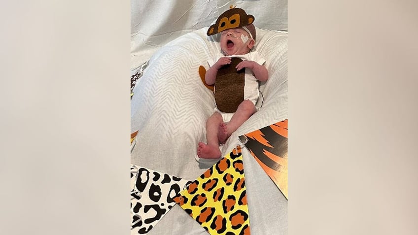 halloween costumes for tiny babies are a passion project for new york nicu nurse creating happiness