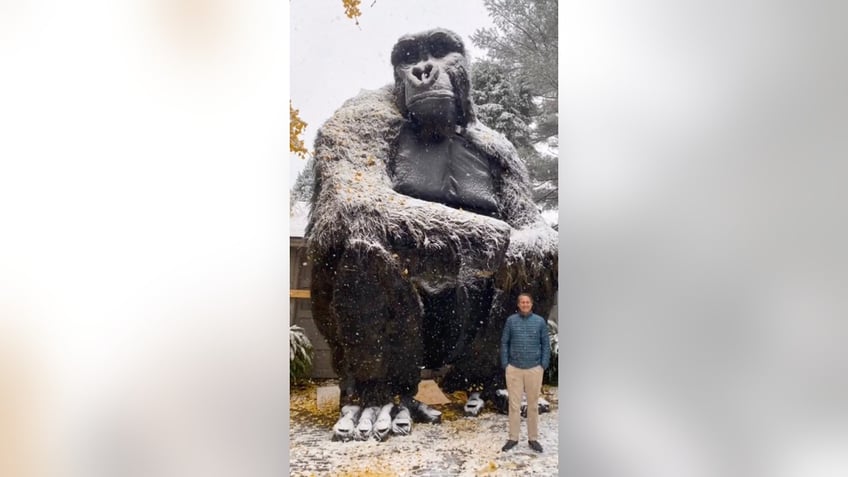 halloween galore massachusetts dad installs extravagant holiday decorations in his front yard