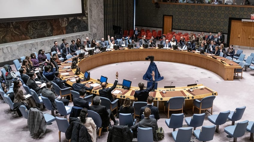 United Nations Security Council