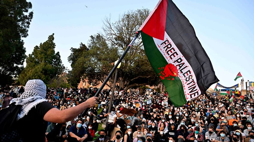 Agitators, Free Palestine flag