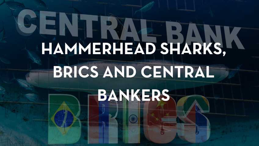 hammerhead sharks brics and central bankers