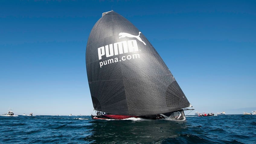 Puma sail boat