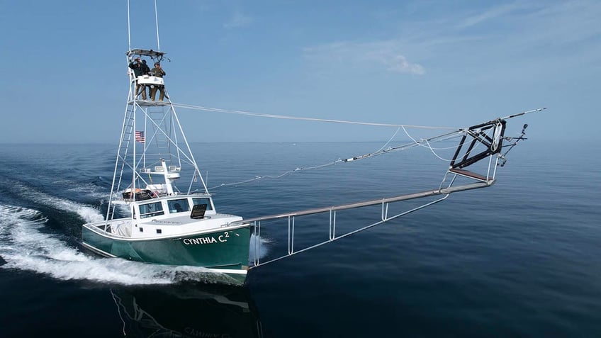 boat looking for bluefin