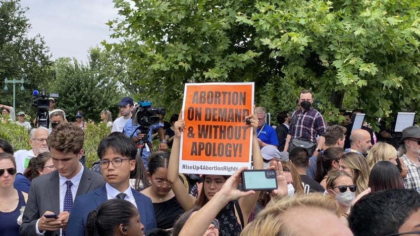 abortion rights protester holds up sign in crowd