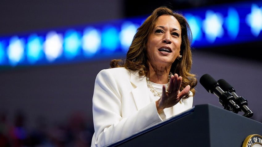 Democratic presidential nominee and Vice President Kamala Harris delivers remarks at a campaign rally in Savannah, Ga. on Aug. 29, 2024. REUTERS/Elizabeth Frantz