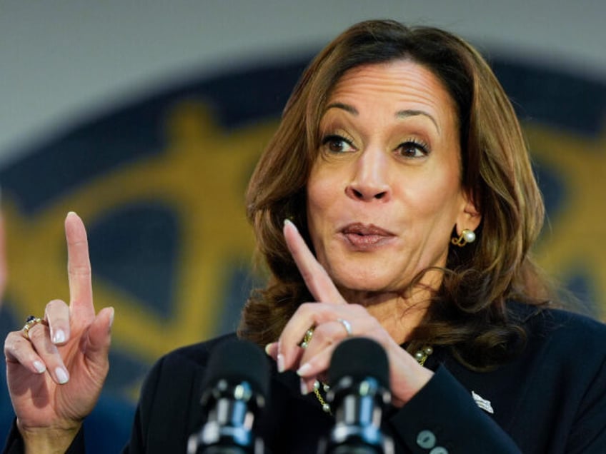 Democratic presidential nominee Vice President Kamala Harris speaks at a campaign rally at