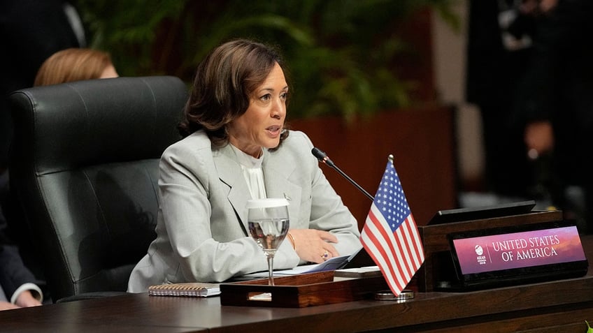 harris says shes ready to step into role of president if biden is unwell may have to take over