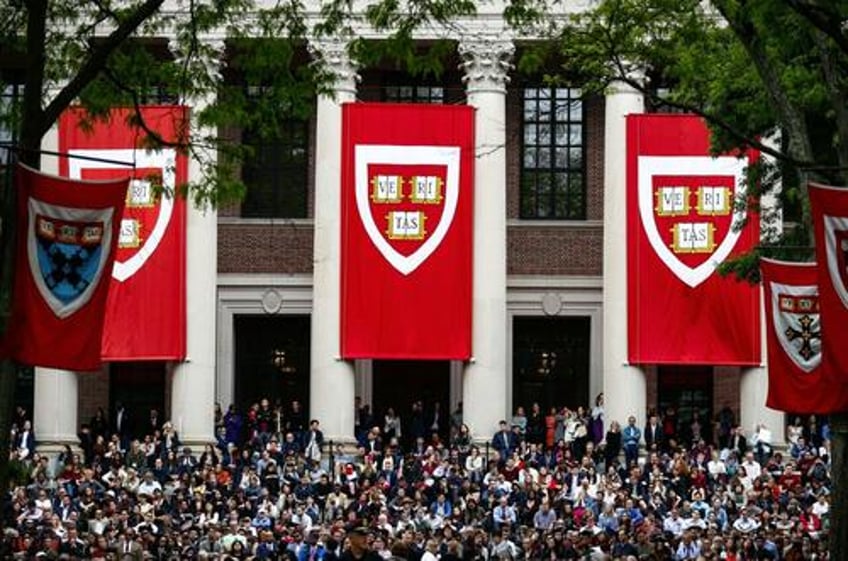 harvard applications decline following anti semitism controversy