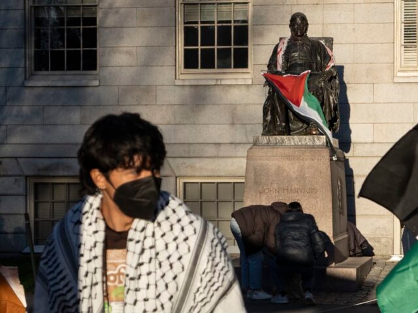 Harvard keffiyeh (Ben Curtis / Associated Press)