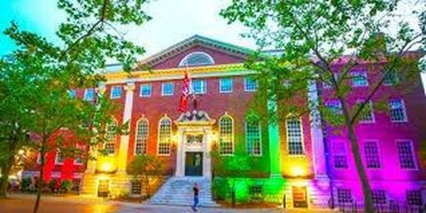 harvard prof calls for firing of any faculty not supporting gender affirming policies