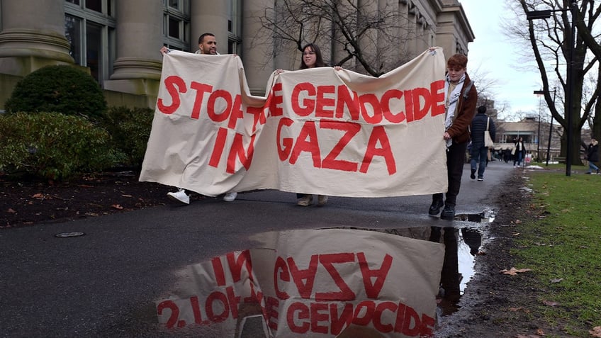 Sign reading, 'Stop the Genocide in Gaza'