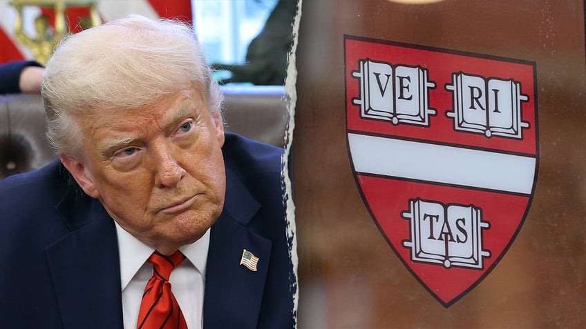Trump and Harvard