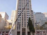 Haul out the holly! Rockefeller Center Christmas tree arrives in New York City