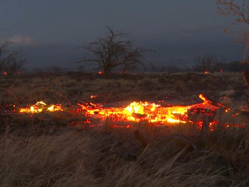 hawaii fires fueled by invasive alien grasses on abandoned farmland