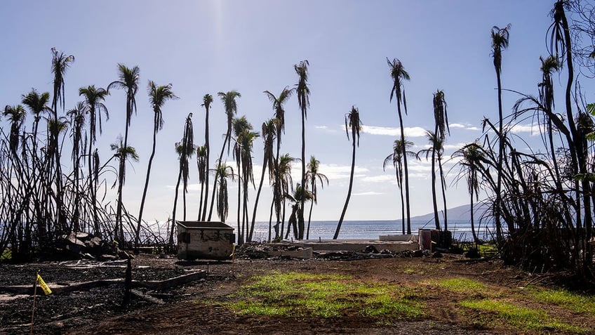 Lahaina fire aftermath