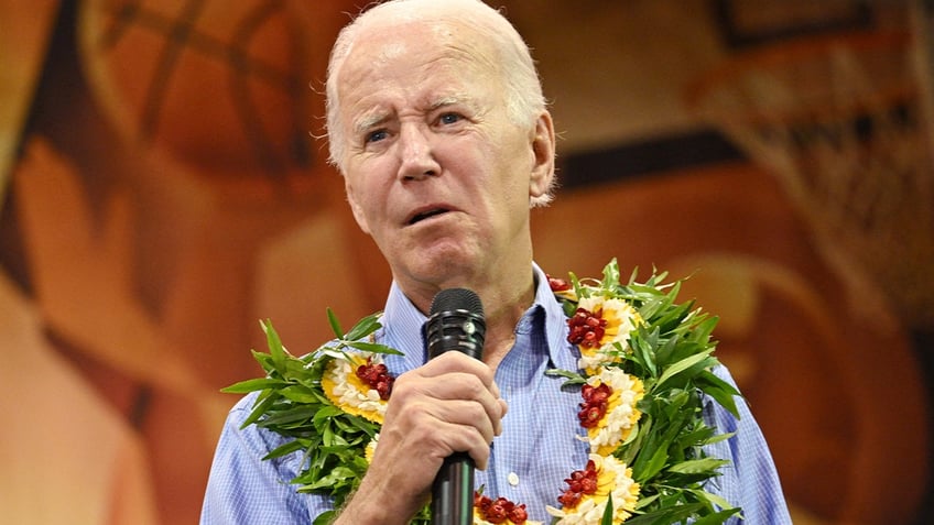 hawaii lawmaker hammers bidens slap in the face to maui