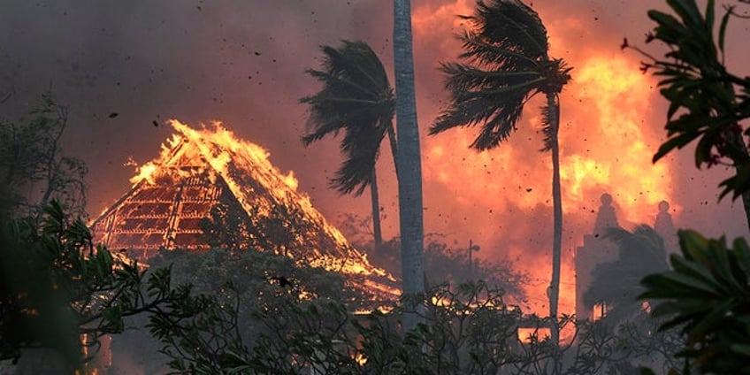 hawaii wildfires video shows maui residents risk drowning in ocean to escape inferno as death toll reaches 80