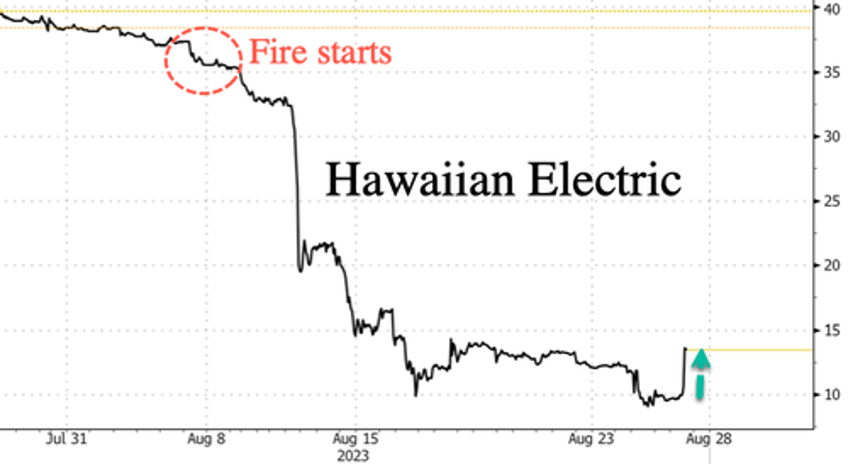 hawaiian electric soars after statement power lines de energized when fire started