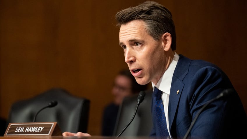 hawley sends scathing letter to mayorkas demanding termination of intel experts group