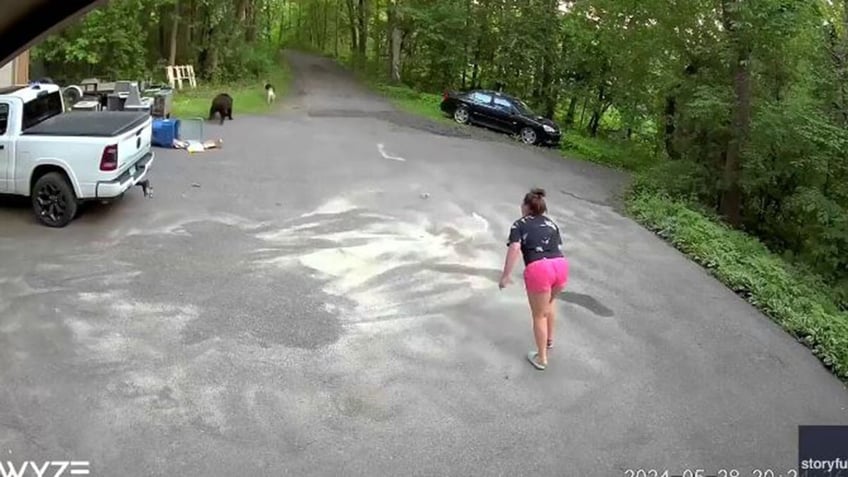 Bailey Jacobson chasing after her dog and a bear
