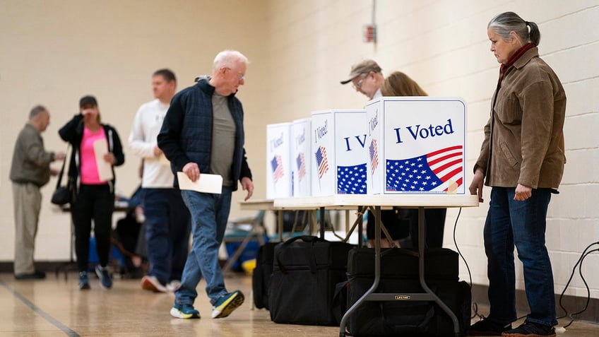 Men and women stand by voting booths, ready to cast ballots