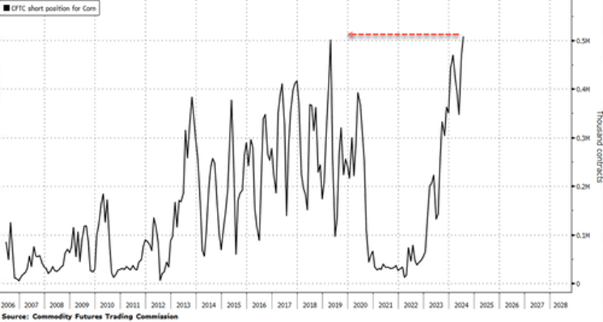 hedge funds boost bearish bets on corn to record 