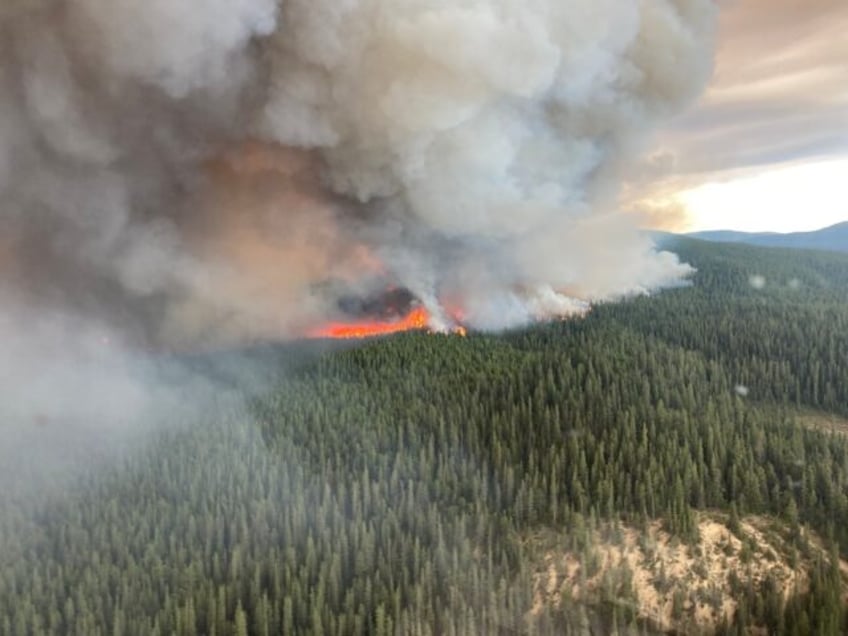 helicopter pilot dies fighting canadian wildfires