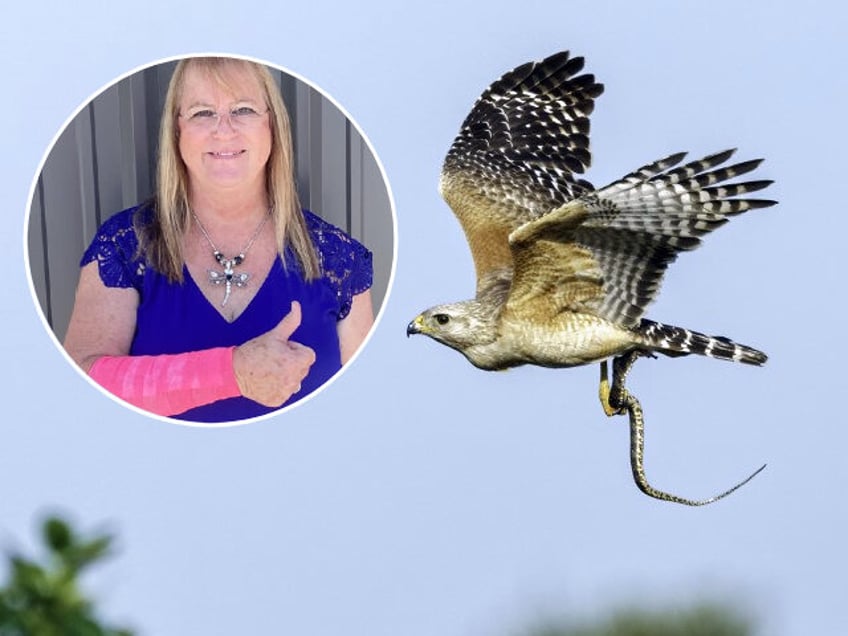 help me jesus texas woman survives attack by snake and the hawk that dropped it from the sky