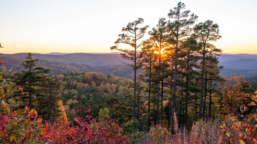 Head to Arkansas for gorgeous fall leaves.