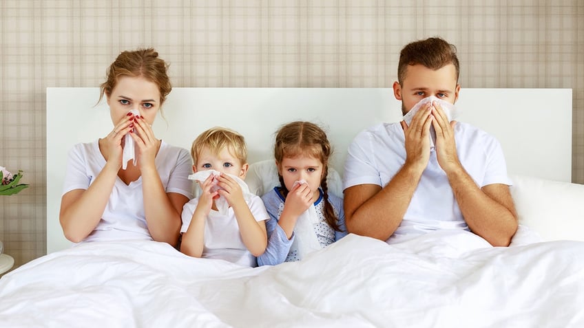 heres how to prevent cold and flu from spreading throughout your household