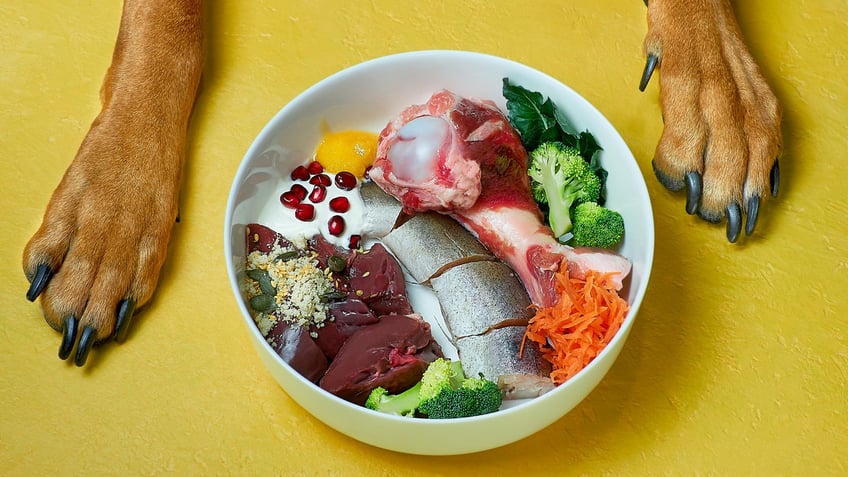 A dog's paws are seen in front of a bowl of healthy human food.