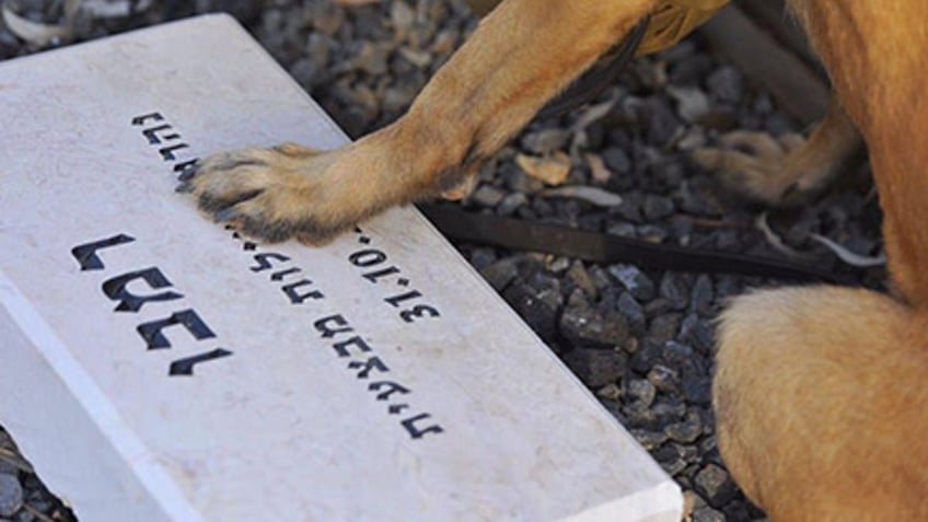 hero dogs israels canine unit saved lives by spotting hamas terror traps saving civilians near gaza strip