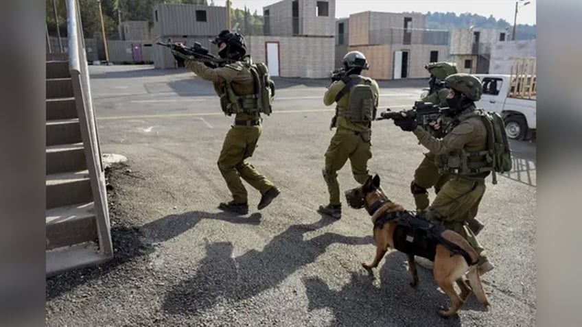 hero israeli k 9 unit credited with rescue of over 200 civilians during hamas terror attack