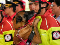 Heroic canines honored as 5 firefighter dogs retire, begin new lives with loving families