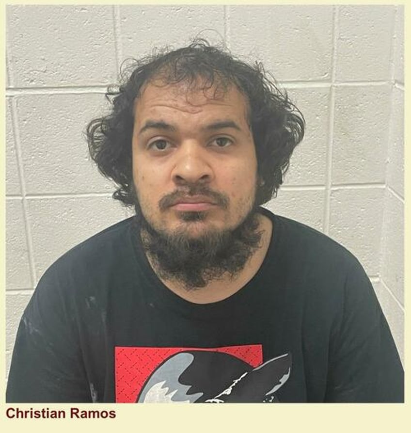highway mayhem trucker from sanctuary state illinois arrested after baltimore shooting spree