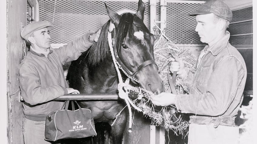 A black and white photo of the 1952 Kentucky Derby winner Hill Gail